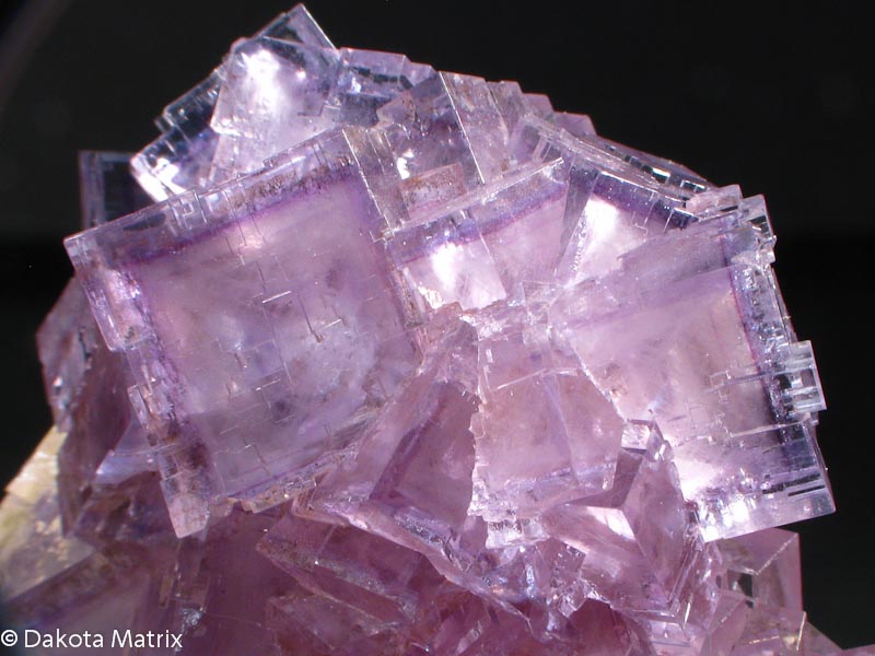 Лиловые кубические кристаллы флюорита.