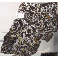 Палласитовый метеорит, прозрачные включения оливина