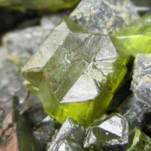 Зеленые кристаллы клейофана с кубическими кристаллами галенита. Болгария