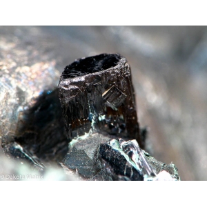 Дигенит с месторождения Бутт, Монтана, США