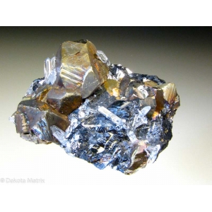 Золотистые кристаллы халькопирита до 2 см, с кварцем и черным сфалеритом