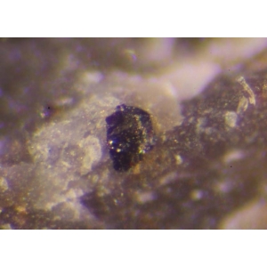 Микрокристаллы ютенбогаардтита из Невады