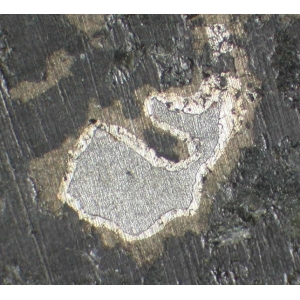 Троилит покрывает серый сплав никеля и железа, (спил метеорита)