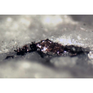Агрегат пупрпурных пластинчатых кристаллов юшкинита в кальците, 3 мм.