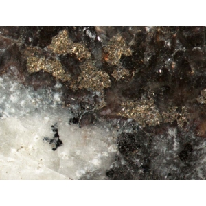 Участок кальцитовой жилы с селенидами. Хакит, сросшийся с серым клаусталитом и черный тиаманнит