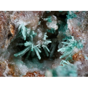 Удлиненные зеленоватые кристаллы клиноатакамита, Германия