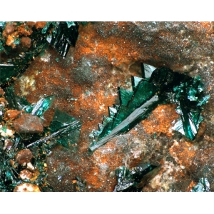 Группа кристаллов двойникового клиноатакамита, Чили