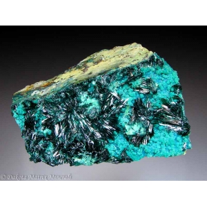 Блестящие темно-зеленые пластинчатые кристаллы атакамита до 5 мм в длину в виде расходящихся плоских побегов на матриксе. Связан с малым количеством волокнистого брошантита и сине-зеленой хризоколлой.