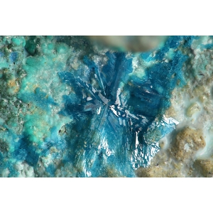 Удлинённо-таблитчатые синие кристаллы боталлакита до 2.3 мм.  Австрия.