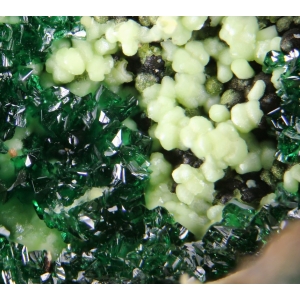 Темно-зеленые кристаллы джиллардита и бледнозеленый гаспеит. Австралия
