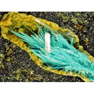 Игольчатые голубые кристаллы капелласита и прозрачный кристалл гипса. Германия