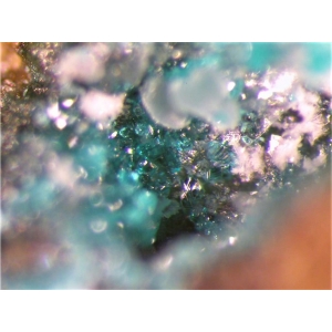 Зеленые кристаллы паратакамита-(Mg) и прозрачный ангидрит. Чили