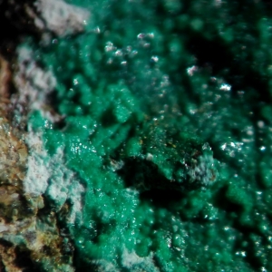 Изумрудно-зеленые кристаллы паратакамита-(Ni) из Австралии