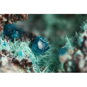 Сине-зеленый кристалл хайдиита с иголчатыми бледно зелеными кристаллами атакамита. Чили