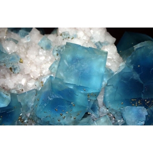 Кубические кристаллы голубого флюорита и кристаллы пирита на его гранях.